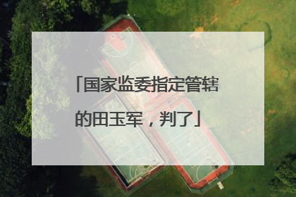 国家监委指定管辖的田玉军，判了