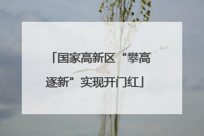 国家高新区“攀高逐新”实现开门红
