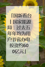 国新看台丨国家能源局：过去五年年均为用户节省办电投资约600亿元