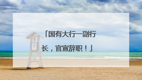 国有大行一副行长，官宣辞职！