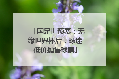 国足世预赛：无缘世界杯后，球迷低价抛售球票