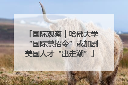 国际观察｜哈佛大学“国际禁招令”或加剧美国人才“出走潮”
