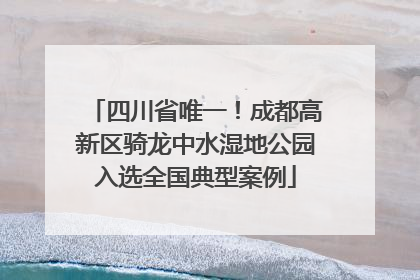 四川省唯一！成都高新区骑龙中水湿地公园入选全国典型案例