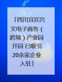 四川宜宾兴文电子商务（跨境）产业园开园 已吸引20余家企业入驻