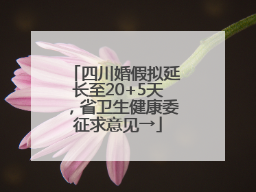 四川婚假拟延长至20+5天，省卫生健康委征求意见→