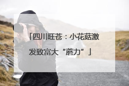 四川旺苍：小花菇激发致富大“蘑力”