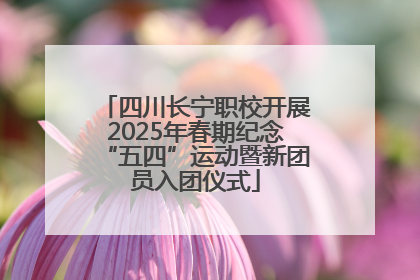 四川长宁职校开展2025年春期纪念“五四”运动暨新团员入团仪式