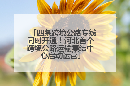 四条跨境公路专线同时开通！河北首个跨境公路运输集结中心启动运营