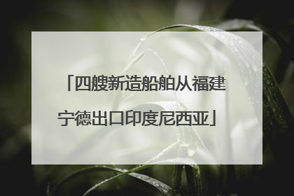四艘新造船舶从福建宁德出口印度尼西亚