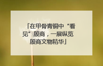 在甲骨青铜中“看见”殷商，一展纵览殷商文物精华