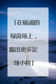 在杨浦的绿茵场上，踢出更多足球小将