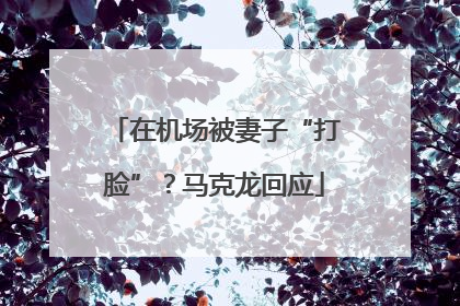 在机场被妻子“打脸”？马克龙回应