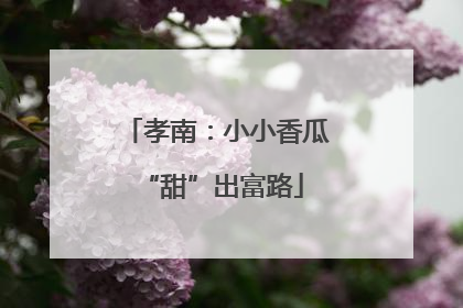 孝南：小小香瓜 “甜”出富路