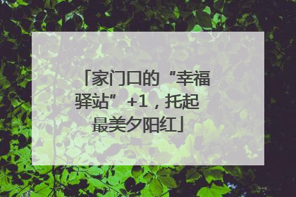 家门口的“幸福驿站”+1，托起最美夕阳红