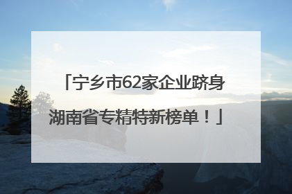 宁乡市62家企业跻身湖南省专精特新榜单！