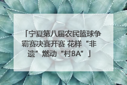 宁夏第八届农民篮球争霸赛决赛开赛 花样“非遗”燃动“村BA”