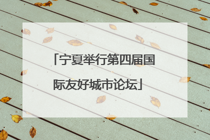 宁夏举行第四届国际友好城市论坛