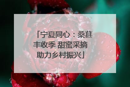 宁夏同心：桑葚丰收季 甜蜜采摘助力乡村振兴