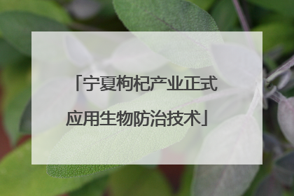 宁夏枸杞产业正式应用生物防治技术