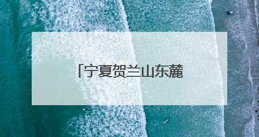 宁夏贺兰山东麓：夏日骄阳催熟“紫色名片”