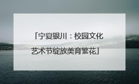 宁夏银川：校园文化艺术节绽放美育繁花