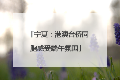 宁夏：港澳台侨同胞感受端午氛围