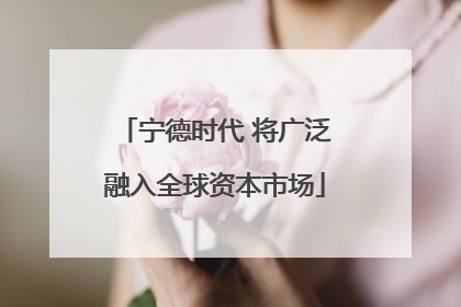 宁德时代 将广泛融入全球资本市场