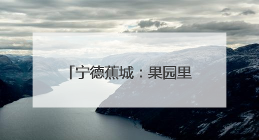 宁德蕉城：果园里来了“科特派”