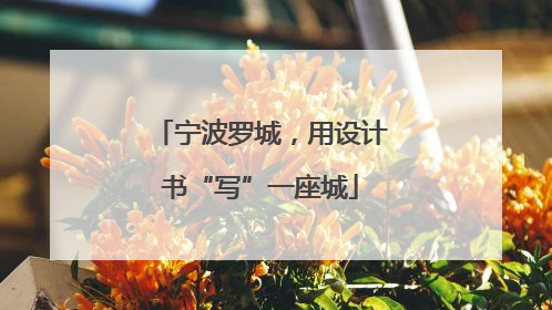 宁波罗城，用设计书“写”一座城