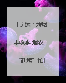 宁远：烤烟丰收季 烟农“赶烤”忙