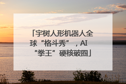 宇树人形机器人全球“格斗秀”，AI“拳王”硬核破圈