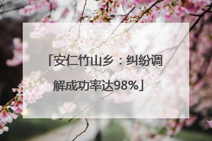 安仁竹山乡：纠纷调解成功率达98%