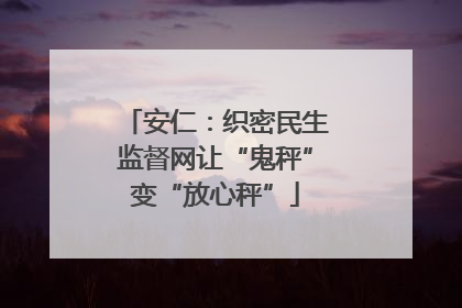 安仁：织密民生监督网让“鬼秤”变“放心秤”