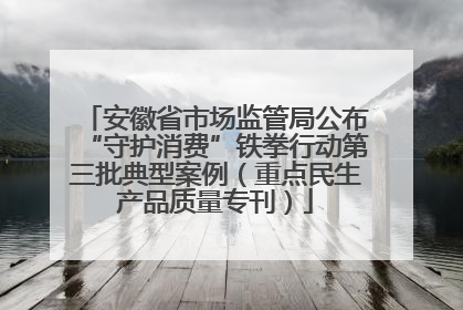 安徽省市场监管局公布“守护消费”铁拳行动第三批典型案例（重点民生产品质量专刊）
