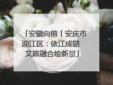 安徽向前丨安庆市迎江区：依江成链 文旅融合绘新景
