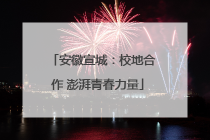 安徽宣城：校地合作 澎湃青春力量