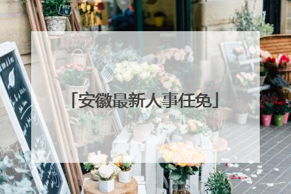 安徽最新人事任免