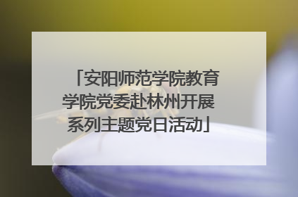 安阳师范学院教育学院党委赴林州开展系列主题党日活动