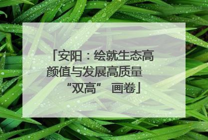 安阳：绘就生态高颜值与发展高质量 “双高” 画卷