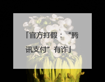 官方打假：“腾讯支付”有诈