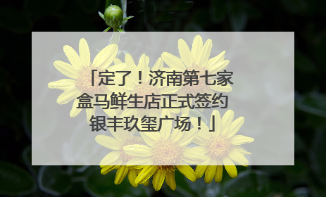 定了！济南第七家盒马鲜生店正式签约银丰玖玺广场！