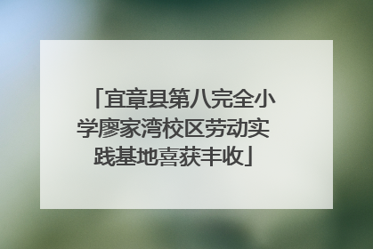 宜章县第八完全小学廖家湾校区劳动实践基地喜获丰收