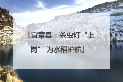宜章县：杀虫灯“上岗” 为水稻护航