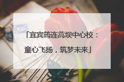 宜宾筠连蒿坝中心校：童心飞扬，筑梦未来