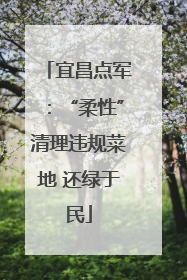 宜昌点军：“柔性”清理违规菜地 还绿于民