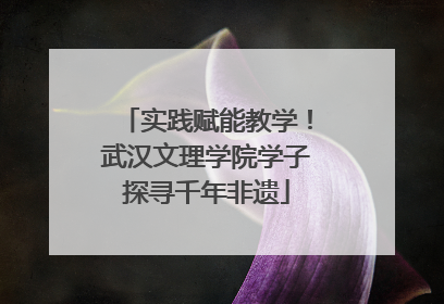 实践赋能教学！武汉文理学院学子探寻千年非遗