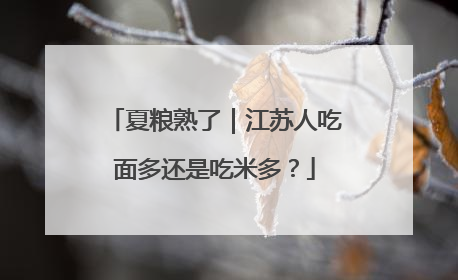 夏粮熟了｜江苏人吃面多还是吃米多？