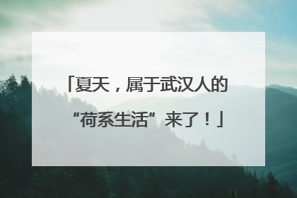 夏天，属于武汉人的“荷系生活”来了！
