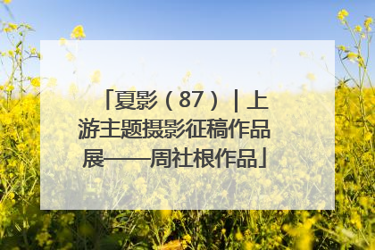 夏影（87）｜上游主题摄影征稿作品展——周社根作品