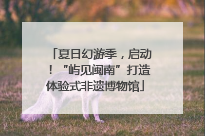 夏日幻游季，启动！“屿见闽南”打造体验式非遗博物馆